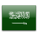 دوري كأس الأمير محمد بن سلمان للمحترفين
