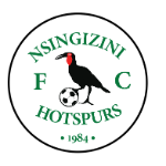 Nsingizini Hotspurs