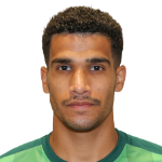 حامد الغامدي