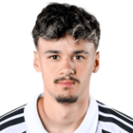 K. Alajbegovic