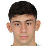 Y. Demir