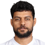 M. Shalaby